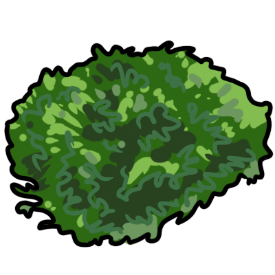 a small patch of moss.